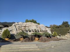 -北京西山国家森林公园