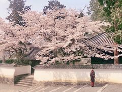 -京都和服体验 梦馆(五条店)