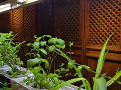 -望京一号·重庆江湖菜(工体店)