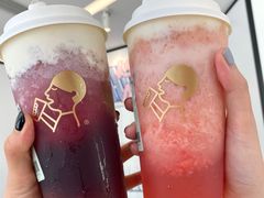 多肉葡萄-喜茶(迪士尼小镇DP店)