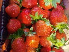 -南宁花花大世界景区