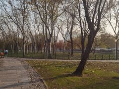 -泰丰公园