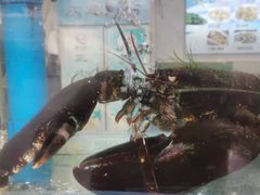 -富临港·蒸汽海鲜·手抓海鲜·炒菜(栈桥店)