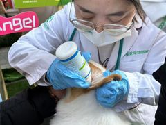 -瑞派申生动物医院·24H夜诊·国际动物医疗中心·骨外科(吴中路店)