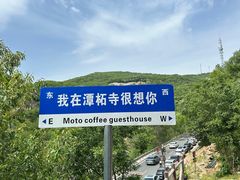 -小赖鱼馆