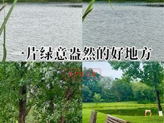 -青龙湖公园