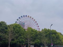 -成都南湖公园