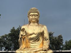 -重庆彩云湖湿地公园