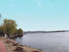 -丁香湖公园