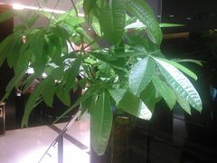 android_upload_pic-永和红旗美食城