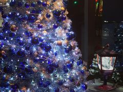 -上海外滩英迪格酒店