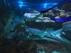 -太平洋海底世界