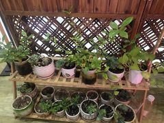 -茶百道(呼家楼店)