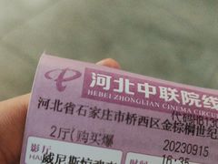 -金棕榈新百世纪影城