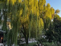 -莲池书院博物馆