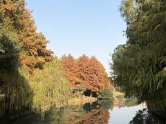 -尚贤河湿地