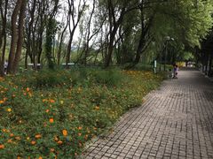 -西湖风景区-江洋畈生态公园