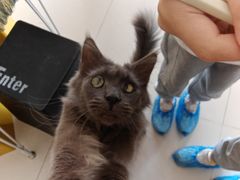 -平行世界·猫咖(首经贸店)