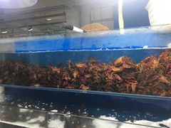 -三旗百汇商品城