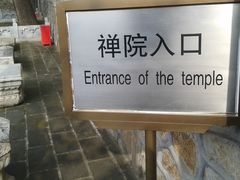 -紫竹院公园冰场