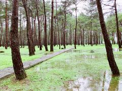 -Club Med地中海俱乐部·桂林度假村