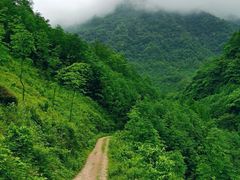 -人民广场-地下停车场