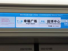 -大龙山(地铁站)