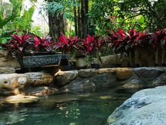 -厦门日月谷温泉渡假村