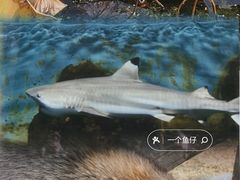 -宁波杭州湾国家湿地公园