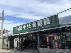 -马陆小张葡萄园农家乐