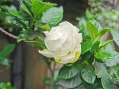 -思南公馆