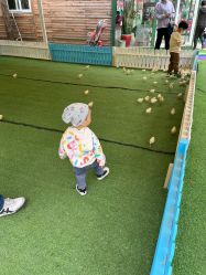 -萌宠亲子动物乐园(槐房万达店)