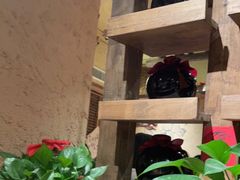 -泥糊破店小酒馆·团建聚餐(南京西路店)