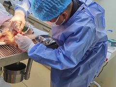 -美联众合动物医院·24h转诊中心