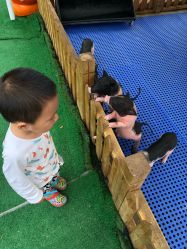 -萌宠亲子动物乐园(槐房万达店)