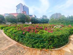 -洛阳市牡丹公园