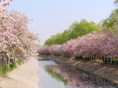 -大望京公园