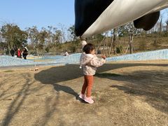 -白鹭湾湿地公园