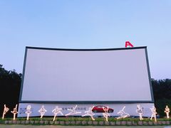 -枫花园汽车电影院(朝阳公园店)
