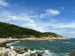 -广东惠东海龟国家级自然保护区