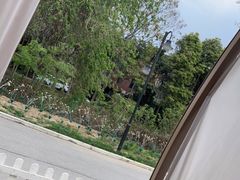 -悦见花开·花园里的火锅·露营·下午茶