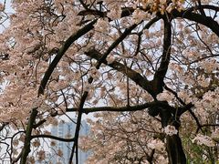 -红星桥(地铁站)