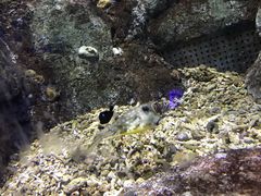 -临沂极地海洋王国