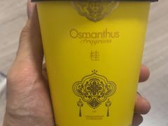 -爷爷不泡茶 NOYEYENOTEA(长沙五江天街店)