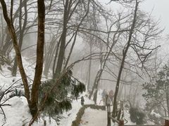 -九峰山