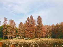 -东湖磨山景区