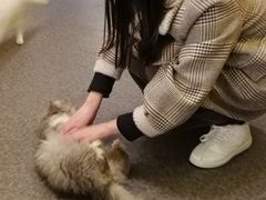 -猫色咖啡·猫咖
