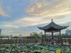 -南宁南湖公园