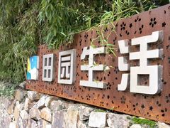 -田园东方蜜桃村的田野营地