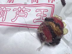 -糖葫芦王保定名吃(古莲花池店)